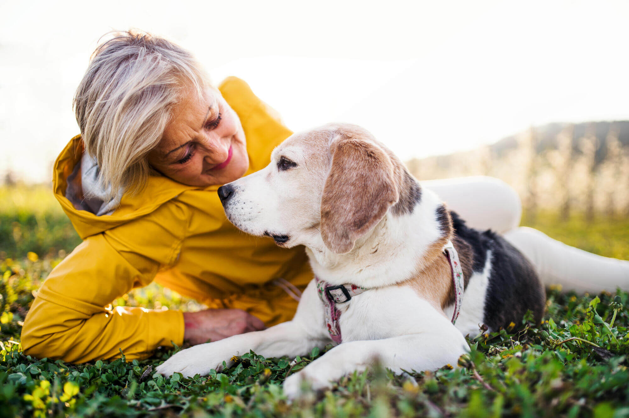 Pros and Cons of Allowing Pets in Your Washington Rental Property